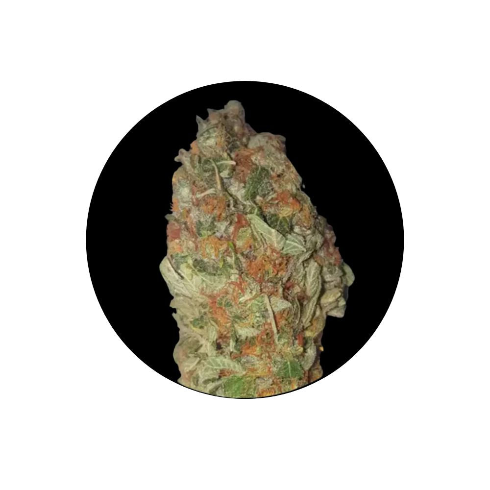 Candy Kush - Cali Genetics - Feminized - 3 Stck.